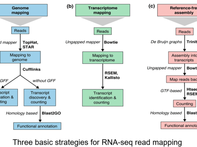 RNA-Seq