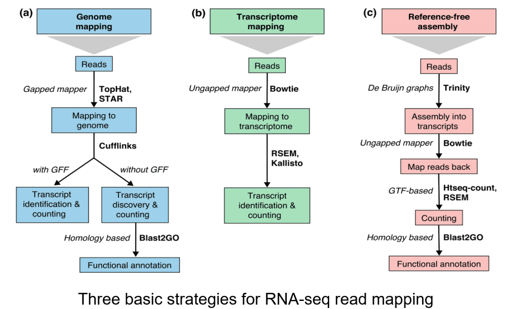 RNA-Seq