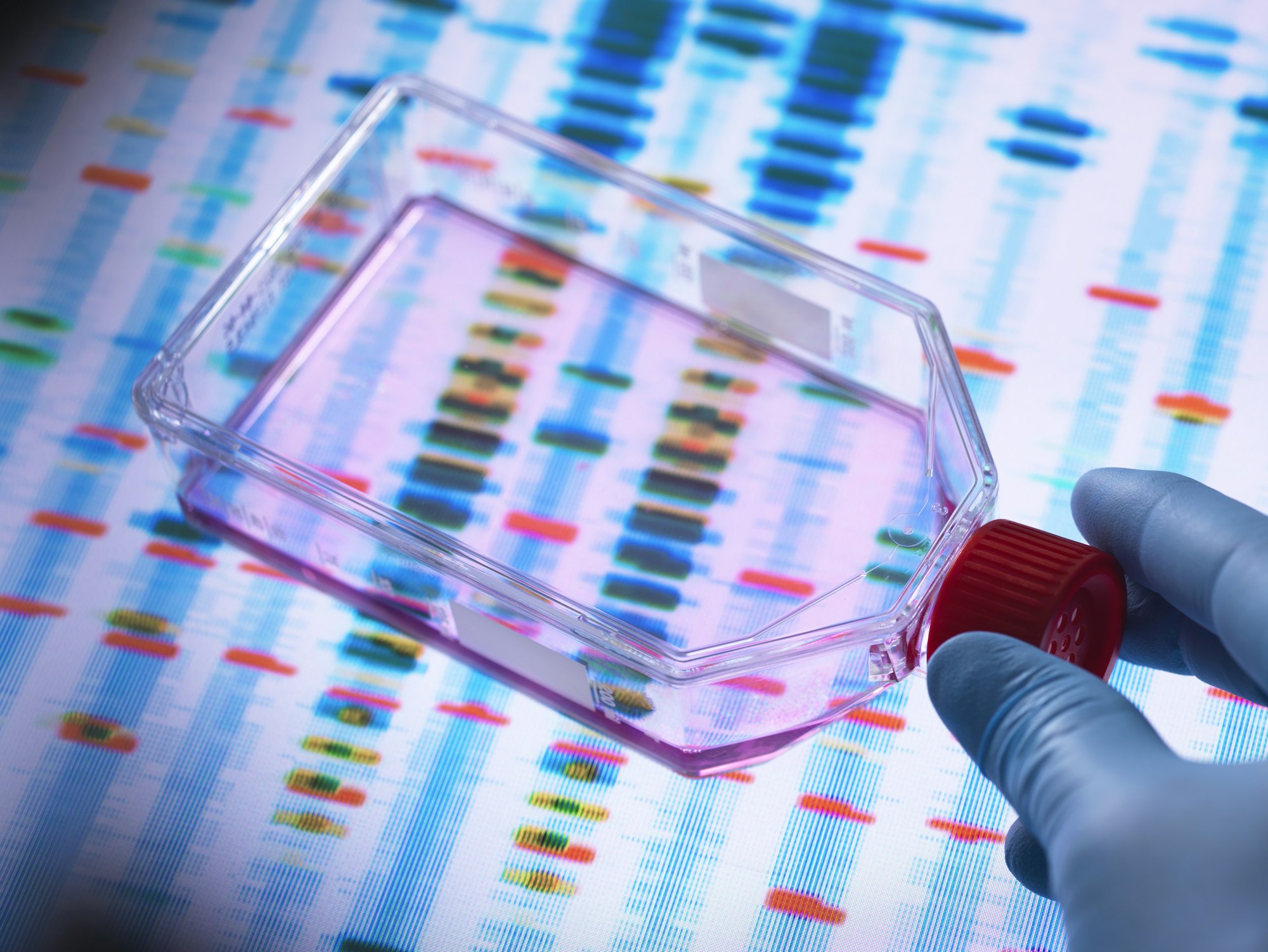 Genetic Engineering, Scientist viewing cells in a culture jar