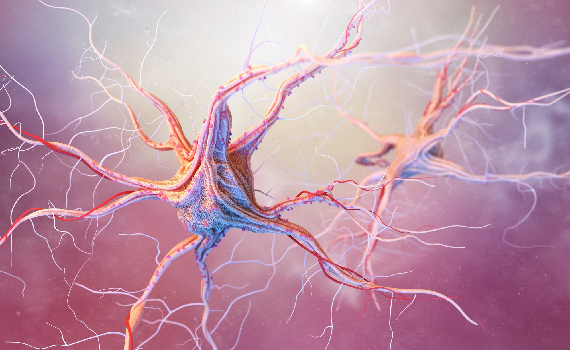 Neurons and nervous system