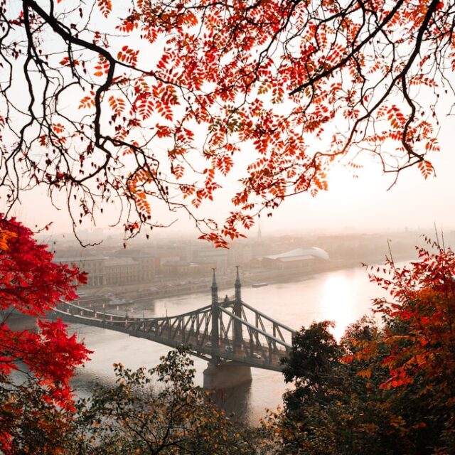 landscape photography of gray concrete bridge