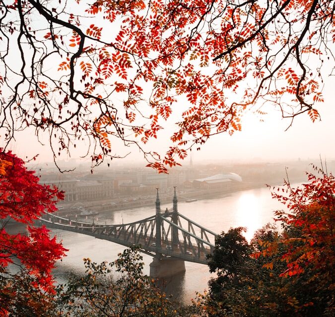landscape photography of gray concrete bridge