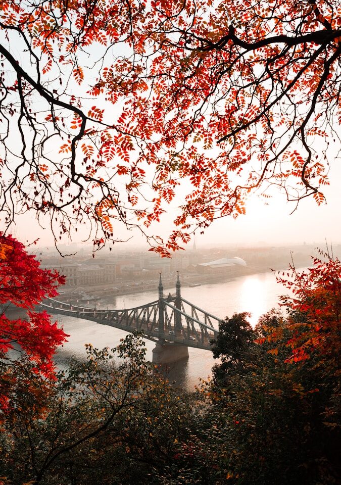 landscape photography of gray concrete bridge